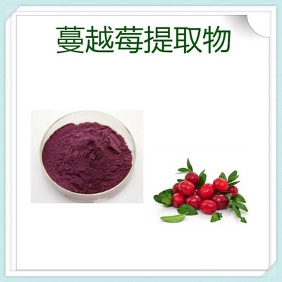 廠家現(xiàn)貨供應 植物提取物 桑葚提取物 鑫茂源 原花青素5%