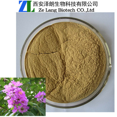 巴拿馬提取物中的科羅索酸 醫(yī)藥級(jí)植物提取物的應(yīng)用與優(yōu)勢